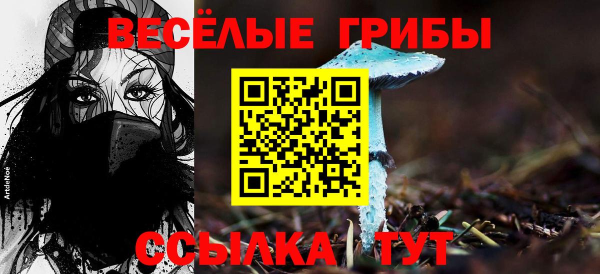 Рубцовск  Псилоцибиновые грибы Magic Shrooms  Вход с VPN 